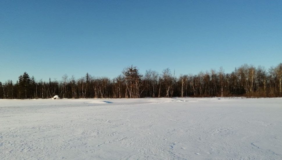 В Архангельской области у охотника отобрали срубленный в лесу дом